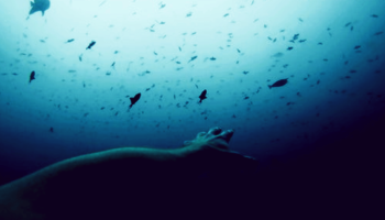 DEEP DIVE DESIGNING METHOD- THE IDEAL PROCESS FOR PROFESSIONAL DESIGNING