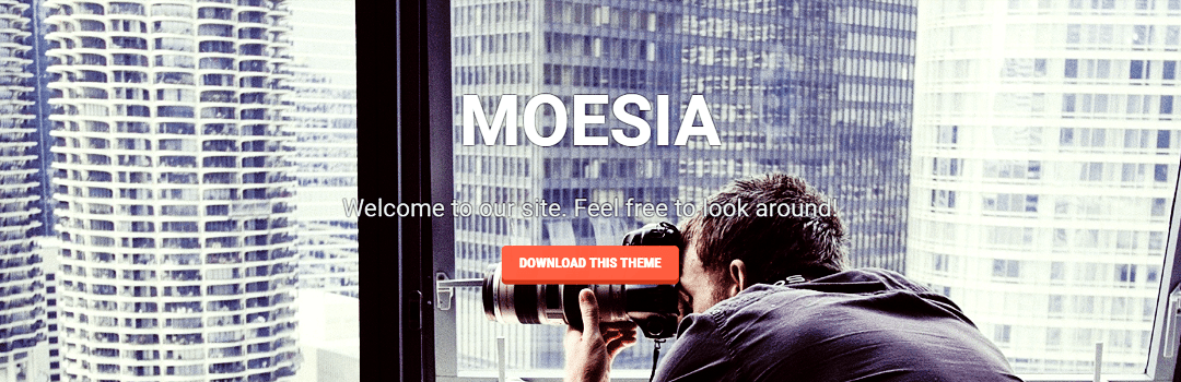 Moesia, 15 best free WordPress themes for business websites- Download now